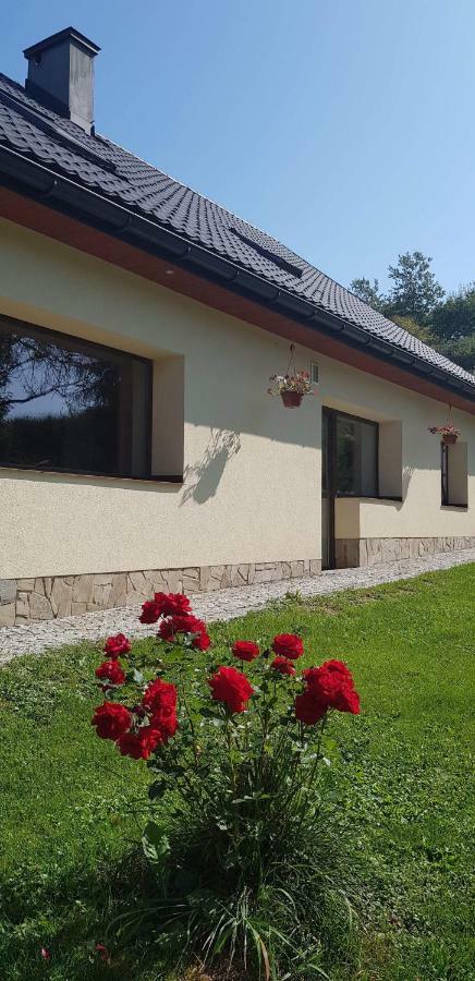 Apartamento Powroznik 94 Muszyna Exterior foto